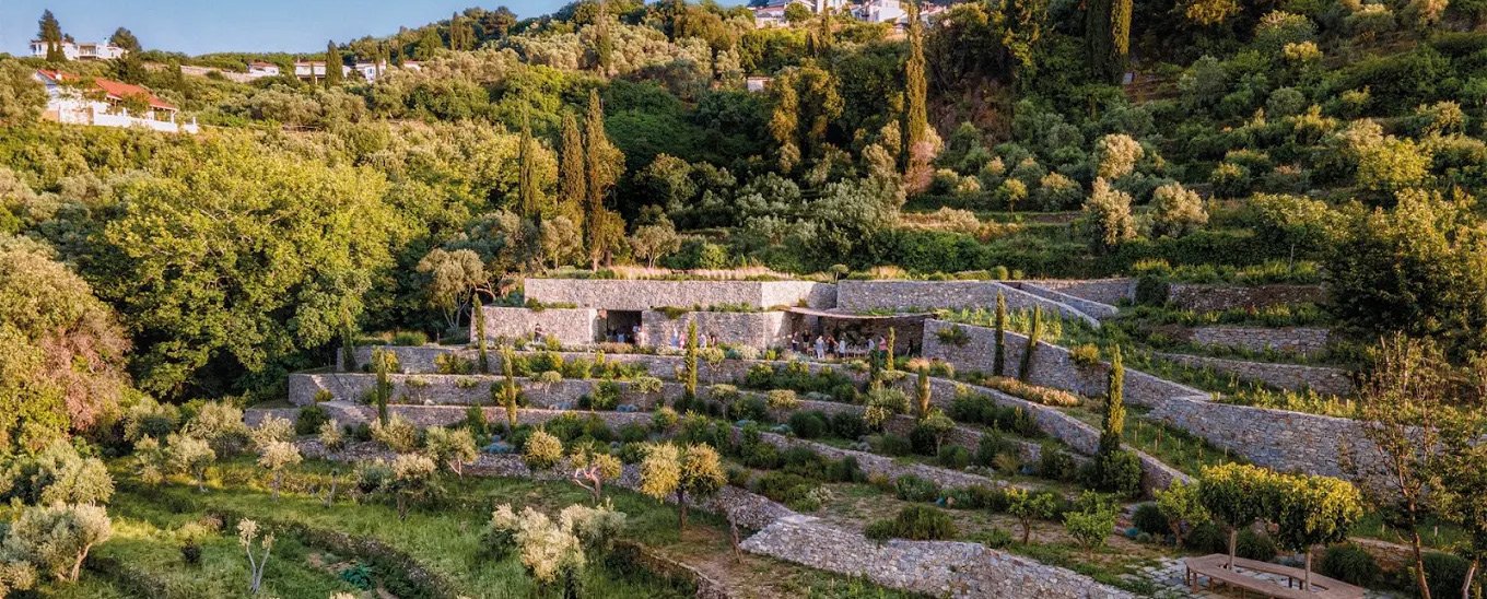 Terraced vineyards and green hillsides on Samos